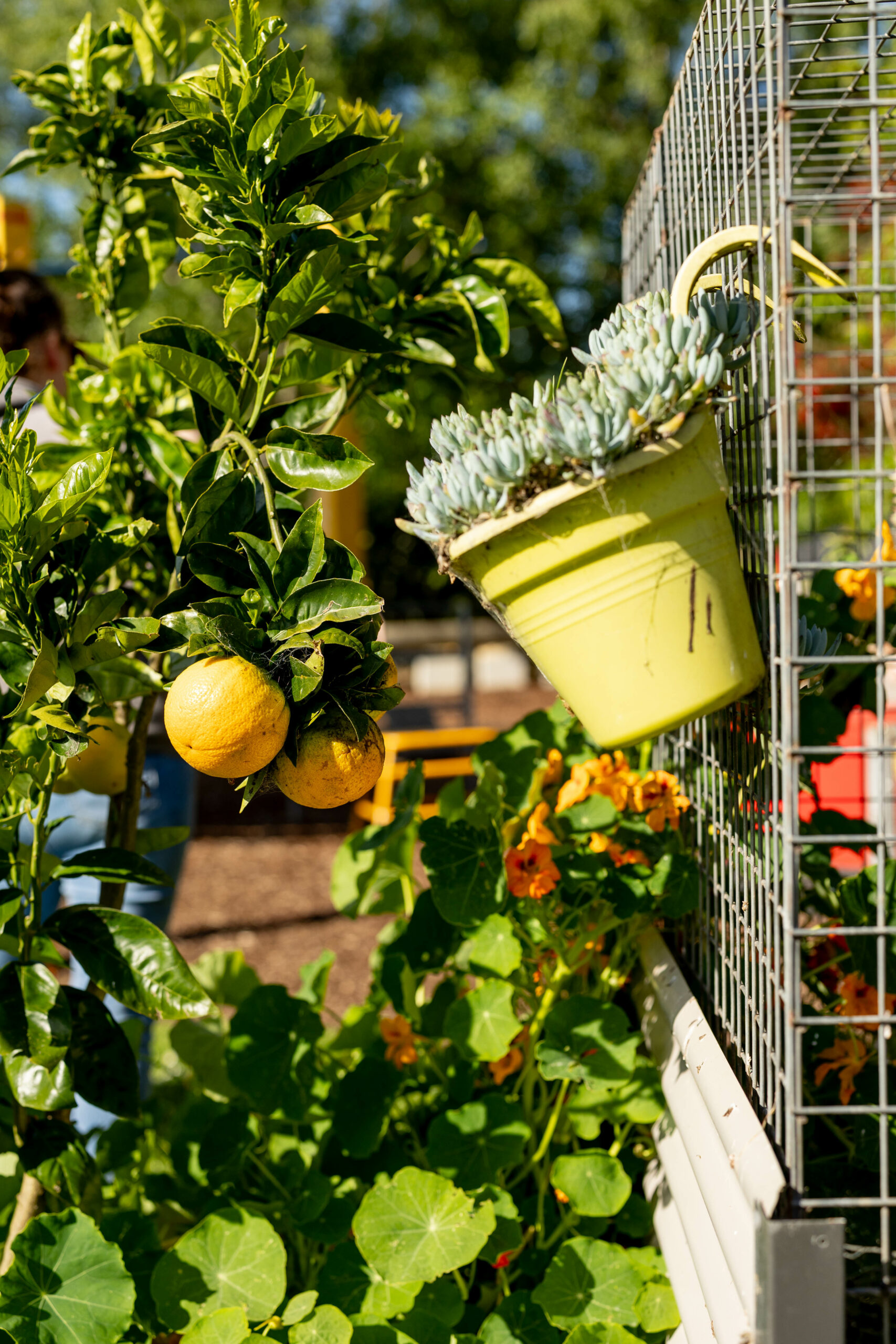 Hassett Street. Leongatha Community Preschool Centres